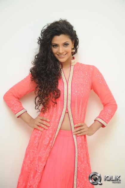 Rey-Movie-Audio-Launch